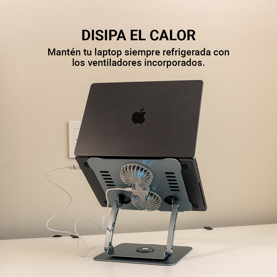 #color_Gris