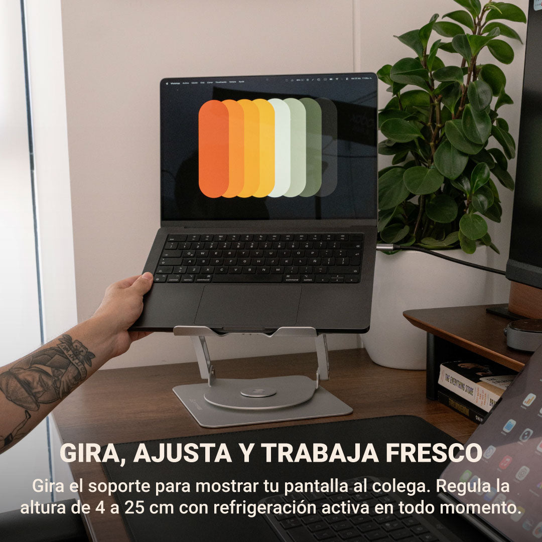 #color_Plateado