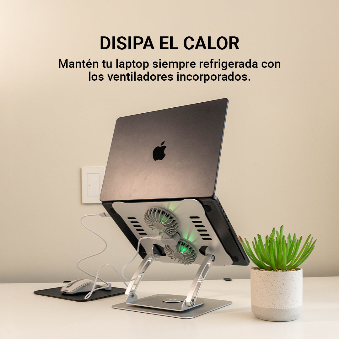 #color_Plateado