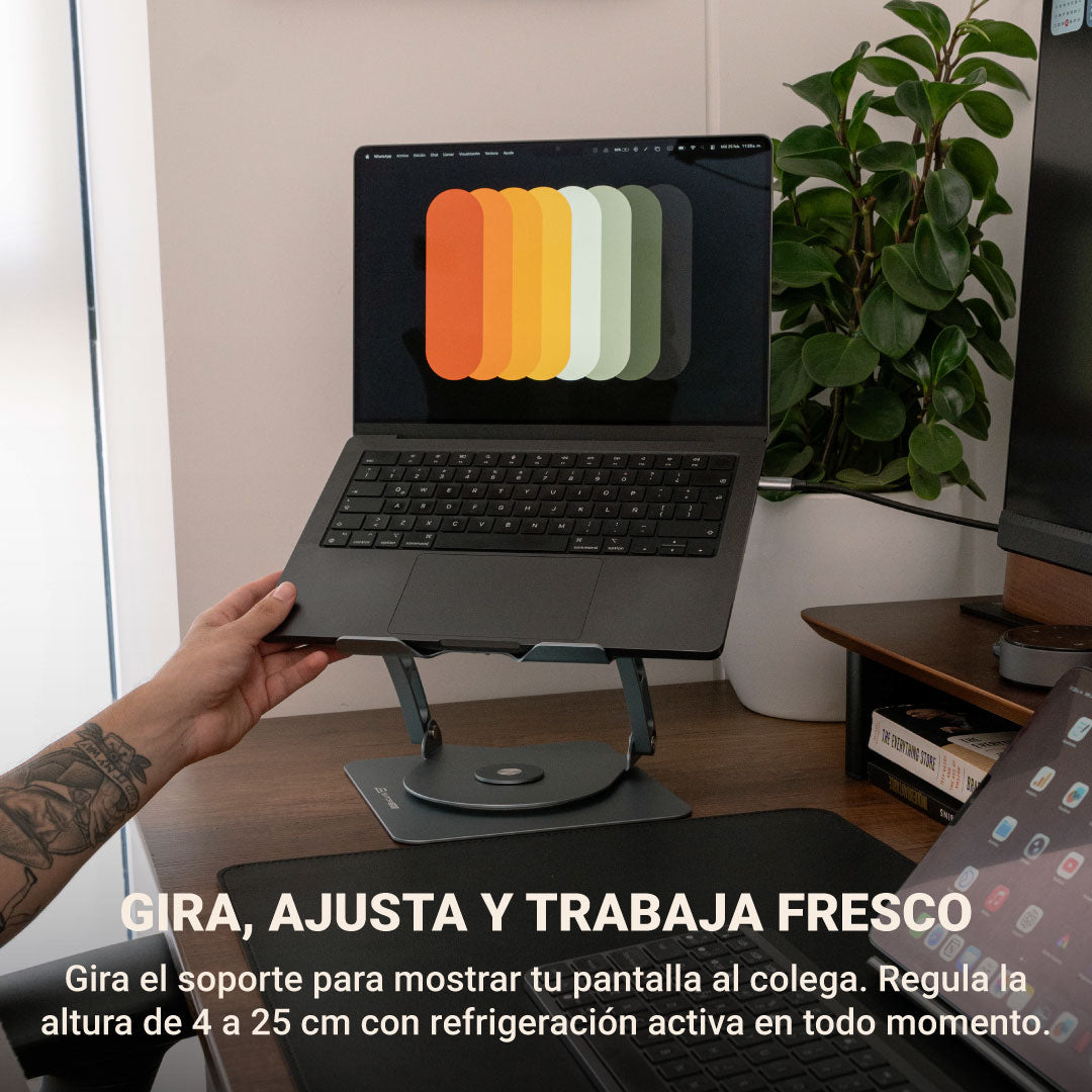 #color_Gris